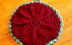 Hot Pad - Trivet Holiday or Any Day - Maroon and Sage 2