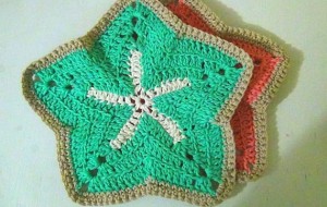 Washcloth Starfish - Set of 2 - Pink - Green