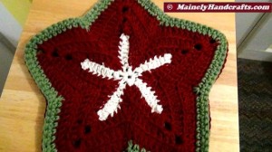 Washcloths - Set of 2 Starfish Holiday Wash Cloths - Crochet Wash Cloth - Bath Accessory - Cotton Facecloth 2