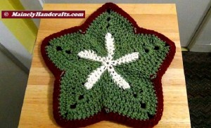 Washcloths - Set of 2 Starfish Holiday Wash Cloths - Crochet Wash Cloth - Bath Accessory - Cotton Facecloth 4