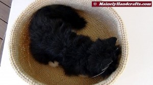 Beige Pet Basket - Soft Crochet Cat Bed - 16 inch Basket 4